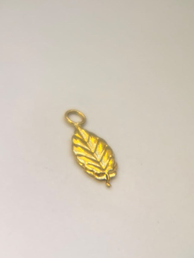 Hoja